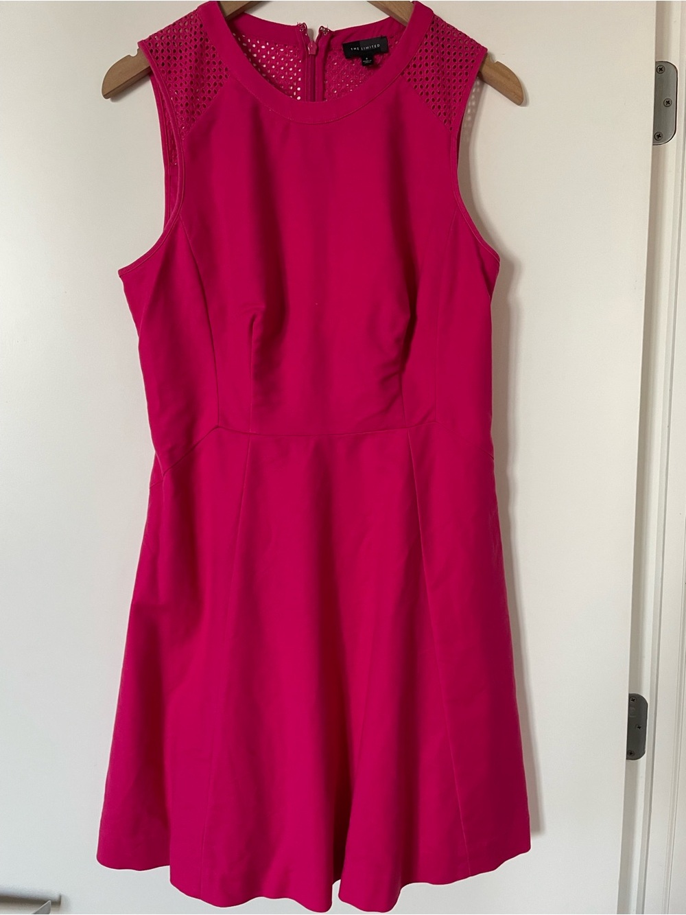 The Limited Hot Pink Sleeveless Fit-and-Flare Mini Dress